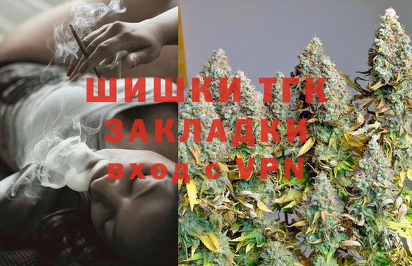 амф Алексин