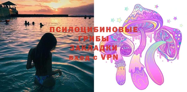 амф Алексин